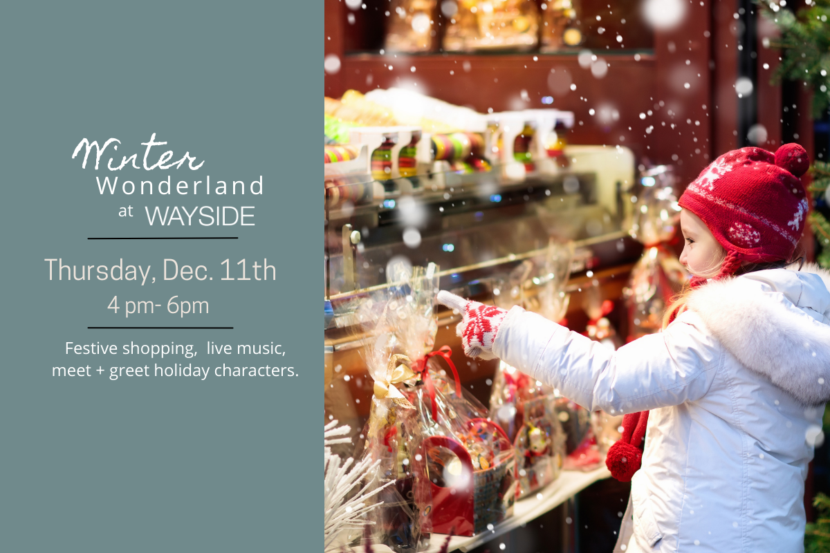 Winter Wonderland at Wayside